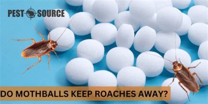 What animals keep roaches away?