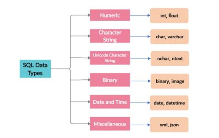What are data types in database?