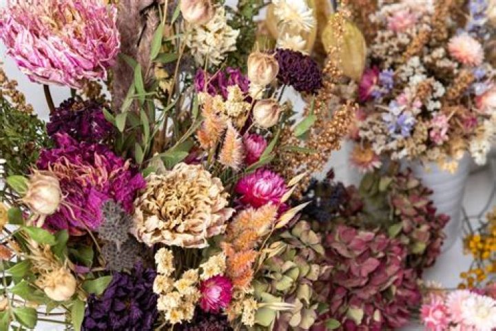 What are dried flowers called?