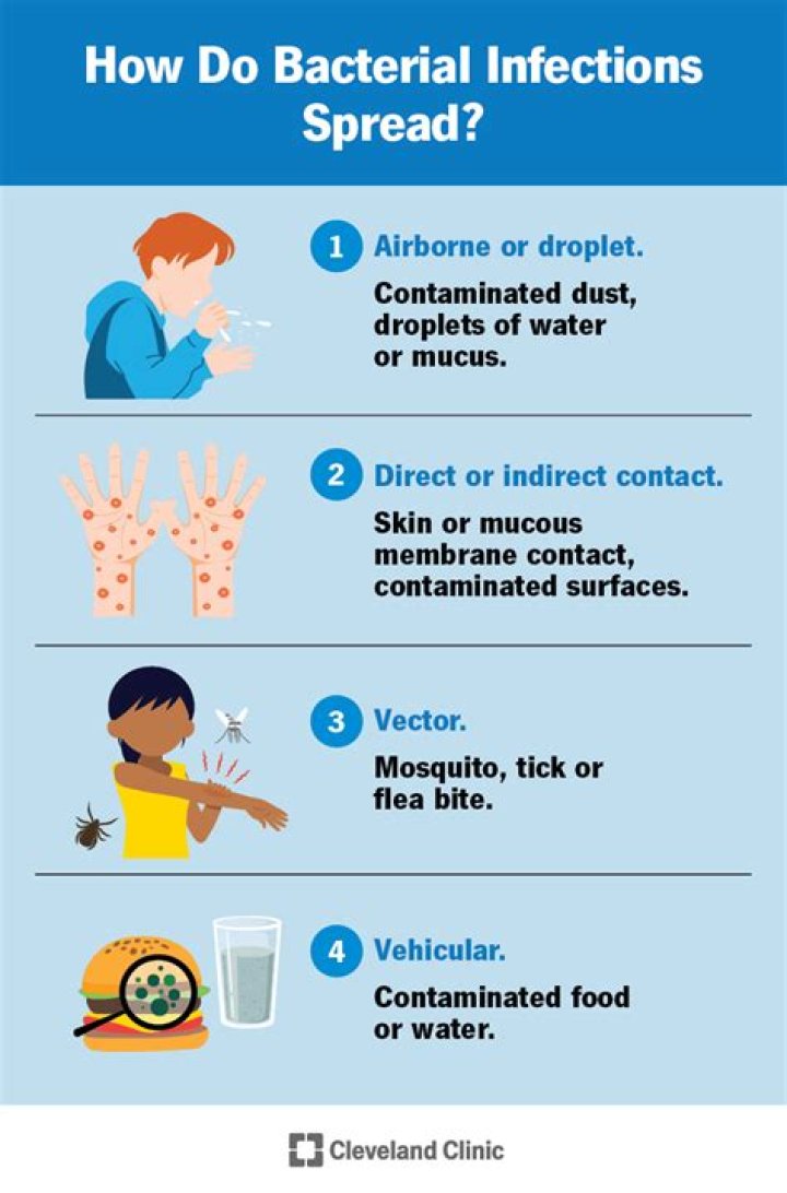 What are five ways that healthcare professionals can spread bacteria?