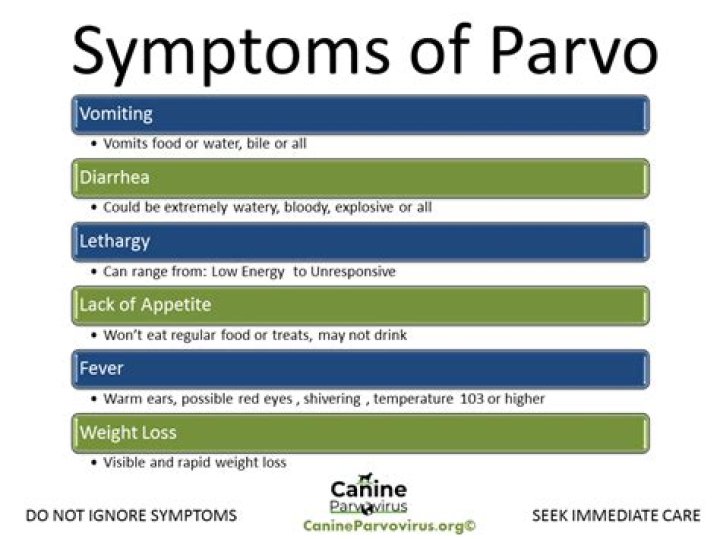 What are signs of parvo?