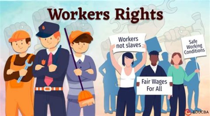 What are the 3 rights you have as a worker?