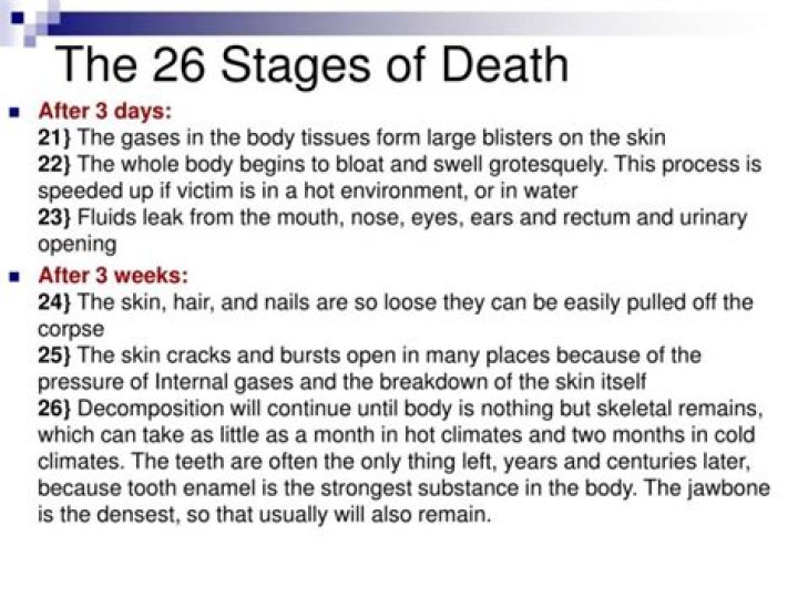 What are the 3 stages of death?