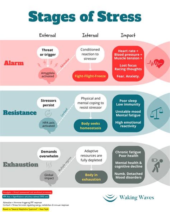 What are the 3 stages of stress?