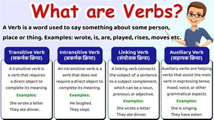 What are the 3 types of verb?