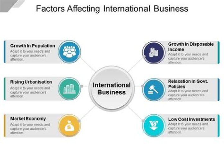 What are the 4 factors of international business?