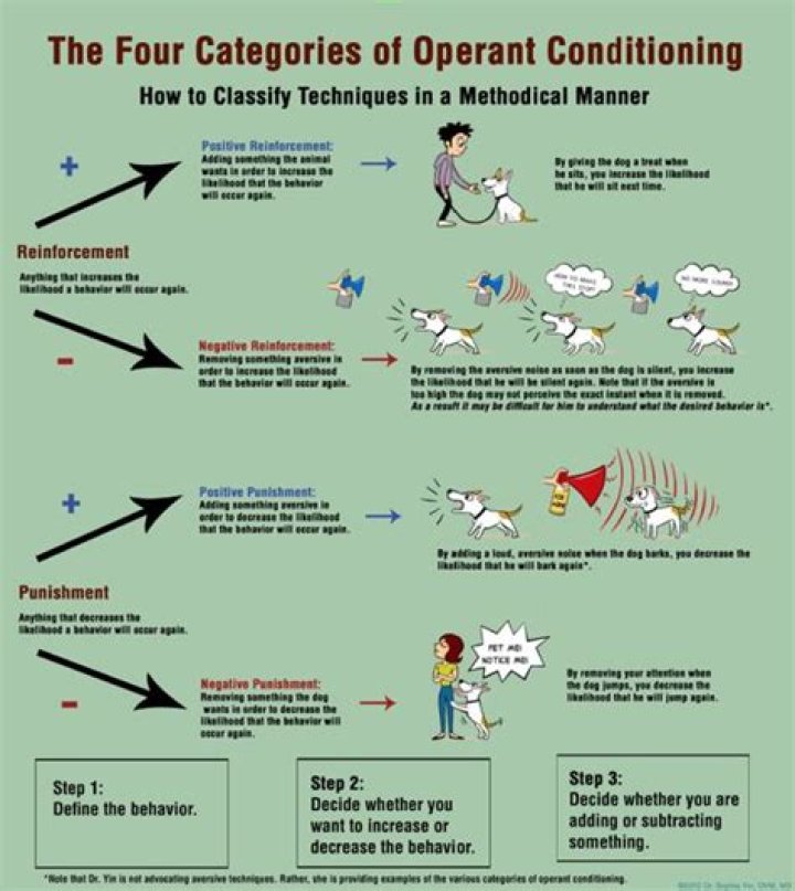 What are the 4 types of operant conditioning?