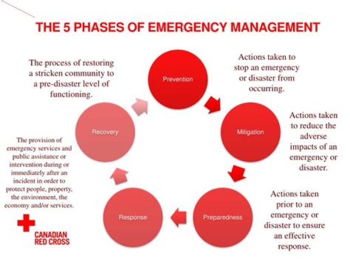 What are the 5 phases of emergency management?
