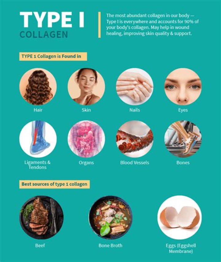 What are the 5 types of collagen?