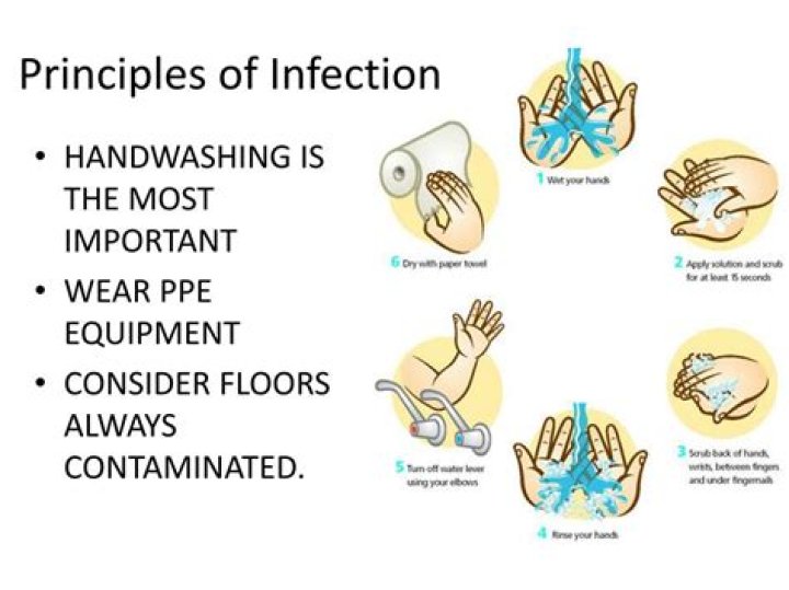 What are the five basic principles for infection control?