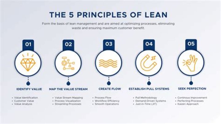 What are the five principles of risk management?