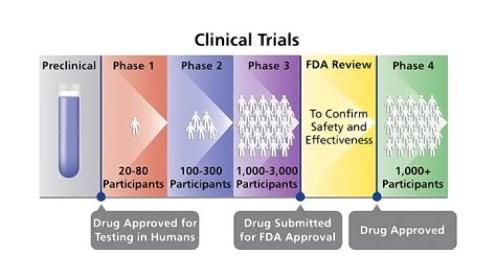 What are the phases of surgery?
