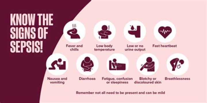 What are the signs of sepsis in adults?