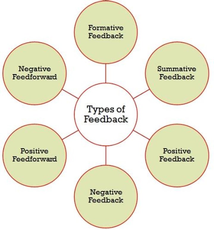 What are the types of feedback?