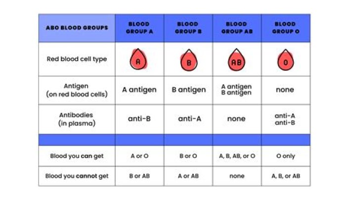 What blood type has the most allergies?