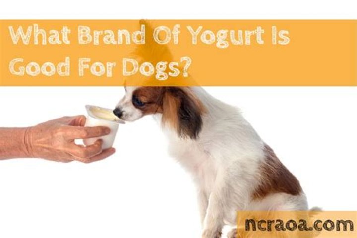What brand of yogurt is good for dogs?