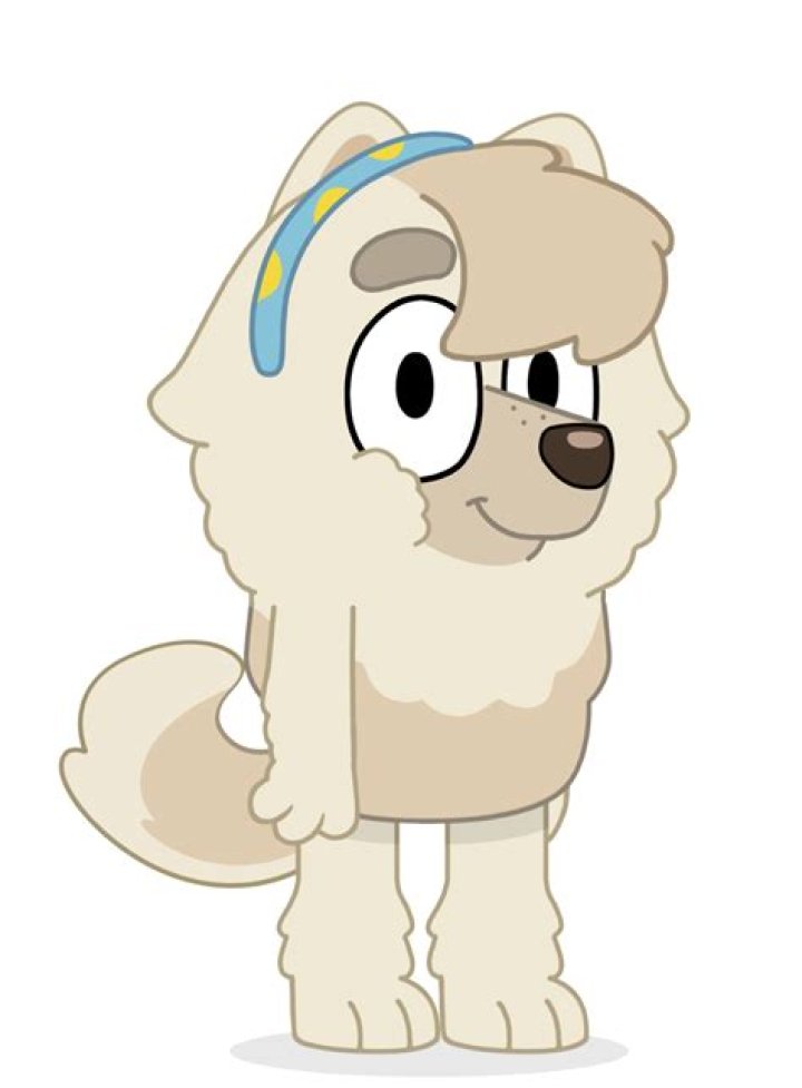 What breed is judo from Bluey?