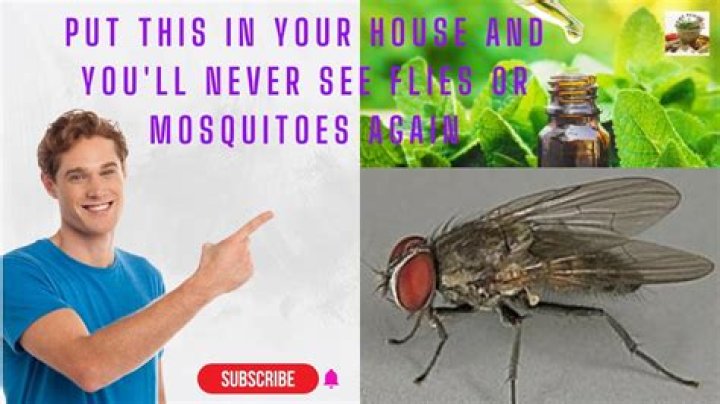 What bugs are repelled by peppermint oil?