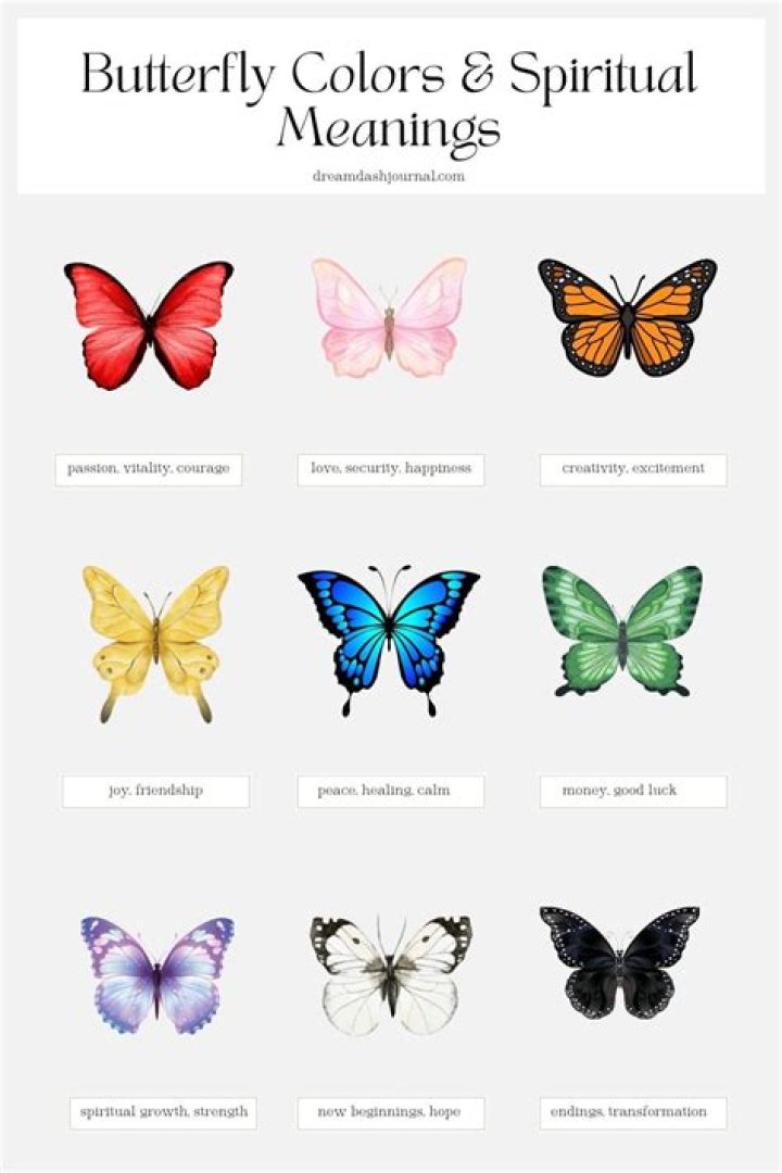 What butterfly means love?