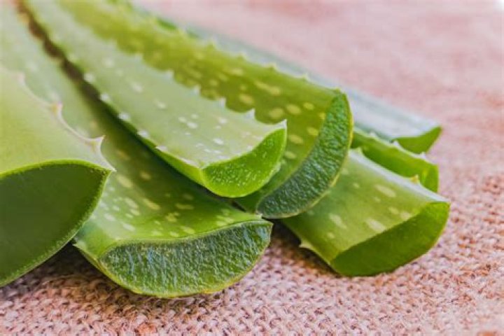 What can you do with aloe vera leaves?