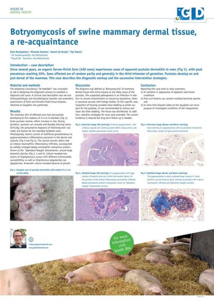 What causes Botryomycosis?