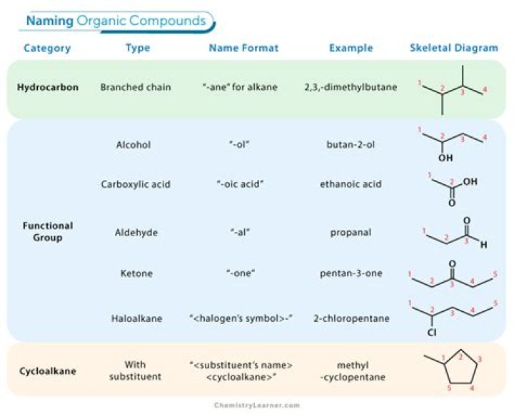 What characteristics of carbon accounts for the large variety of organic compounds?