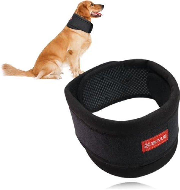 What collar is a doctor?