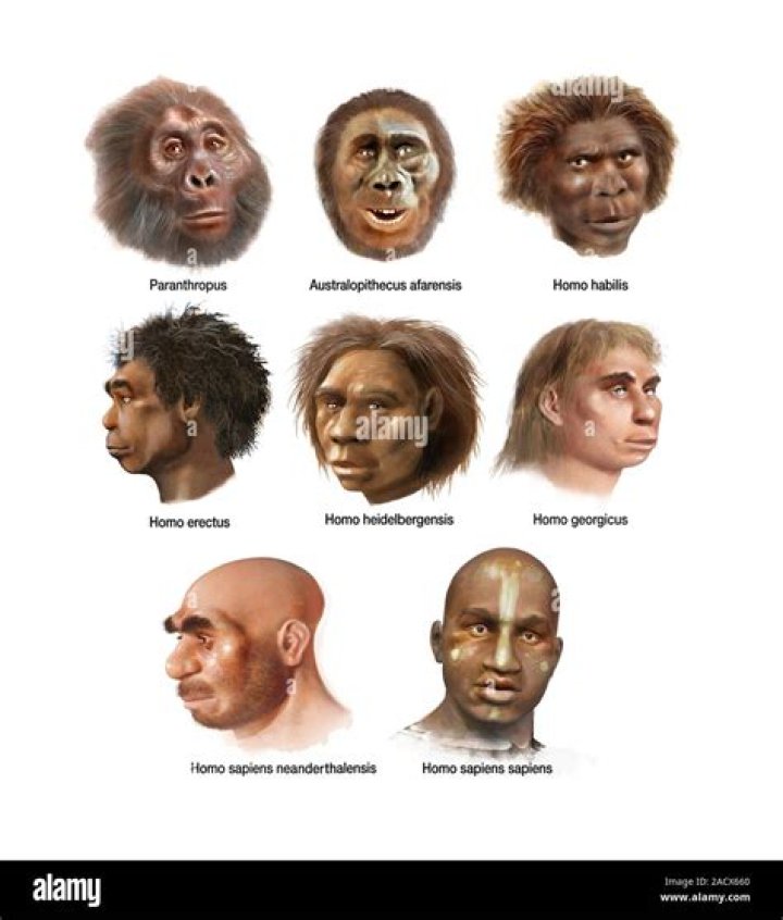 What color are humans most attracted to?