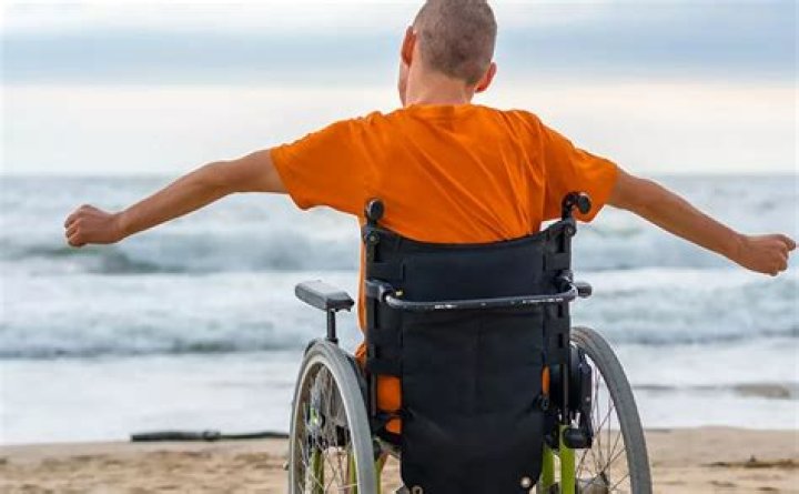 What color is a disabled person cane?