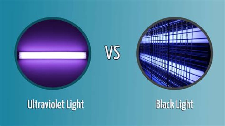 What color is sperm under blacklight?