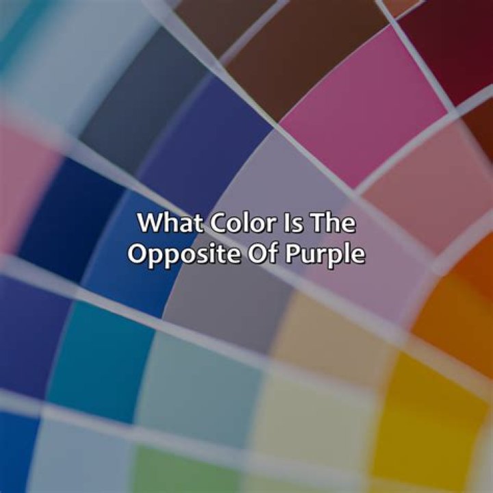 What color is the opposite of grey?