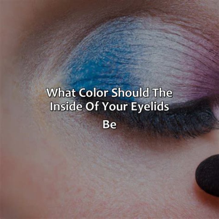 What color should a dog's eyes be?