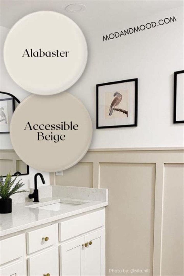 What color should your TRIM be if your walls are white?
