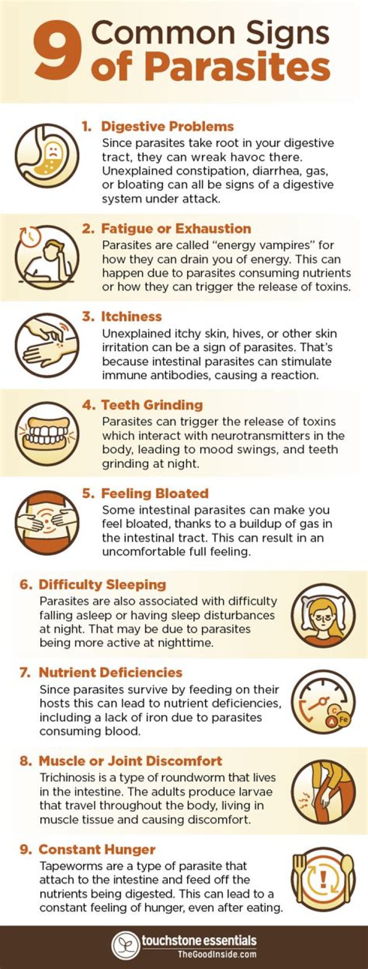 What damage can parasites do to the body?
