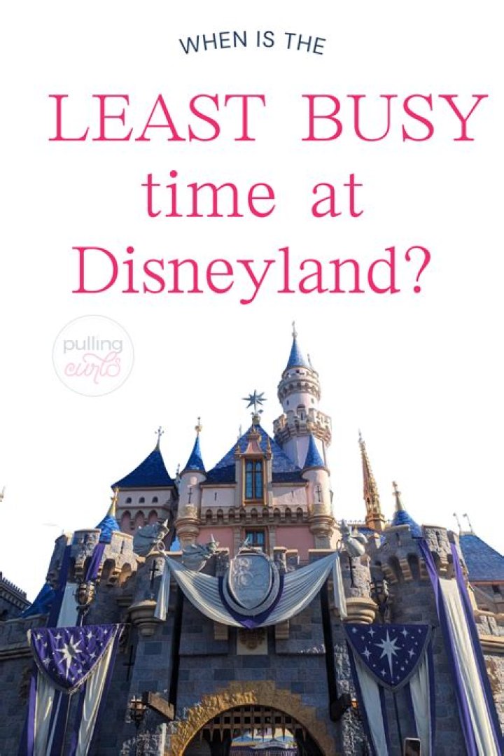 What day is Disneyland least busy?