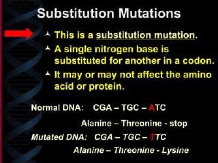 What describes a substitution mutation?
