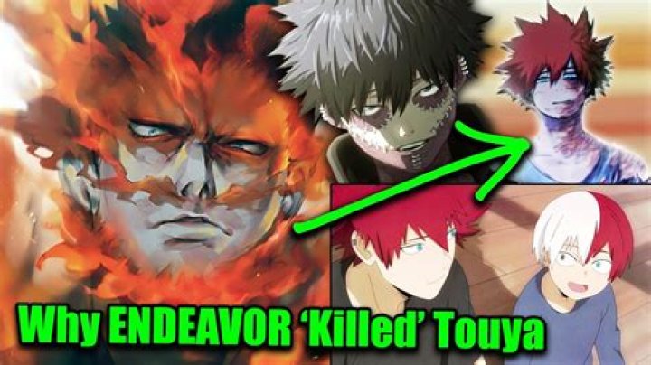 What did Endeavor do to Touya?