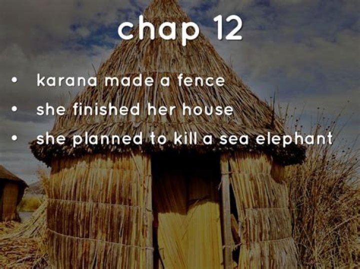 What did Karana make in Chapter 12?