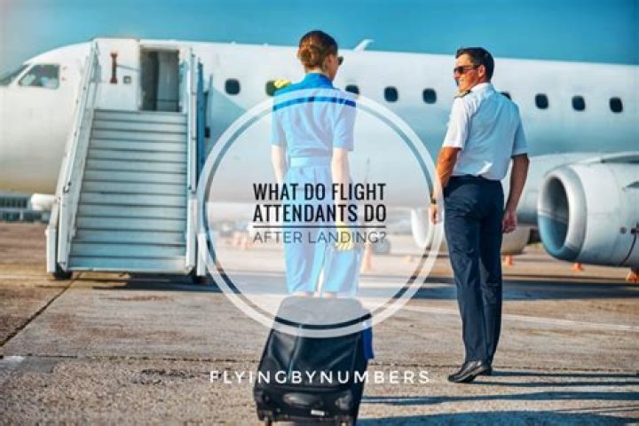 What do flight attendants do during long flights?