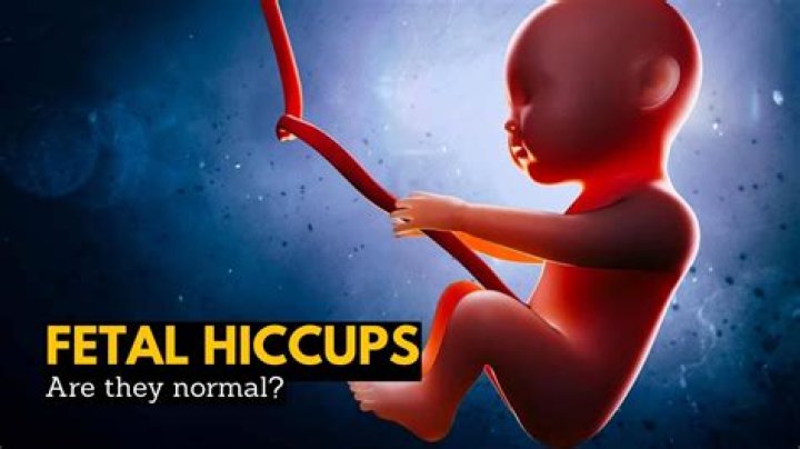 What do hiccups in the womb feel like?