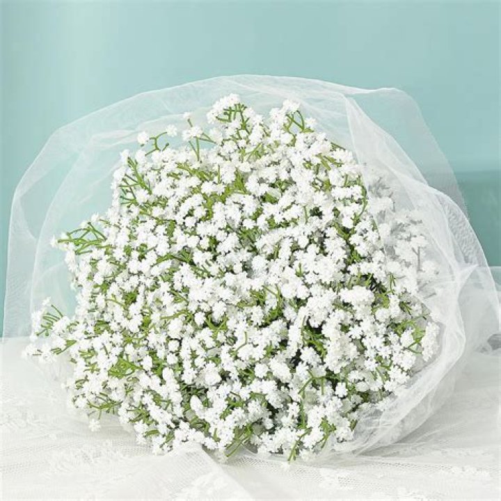 What do you do with baby's breath flowers?