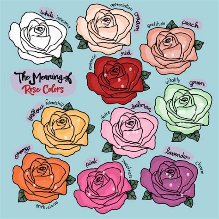 What does 3 red roses mean?