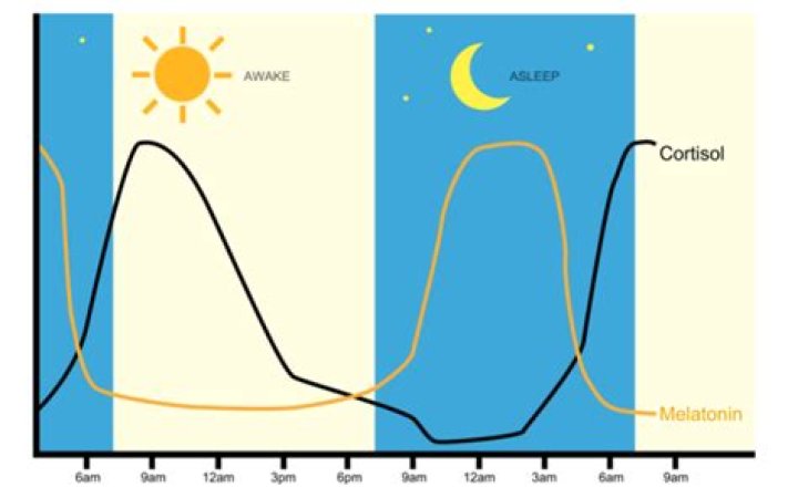 What does a cortisol spike feel like?