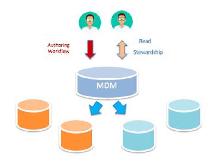 What does a MDM do?
