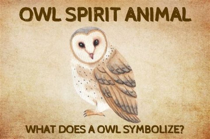 What does a owl symbolize?