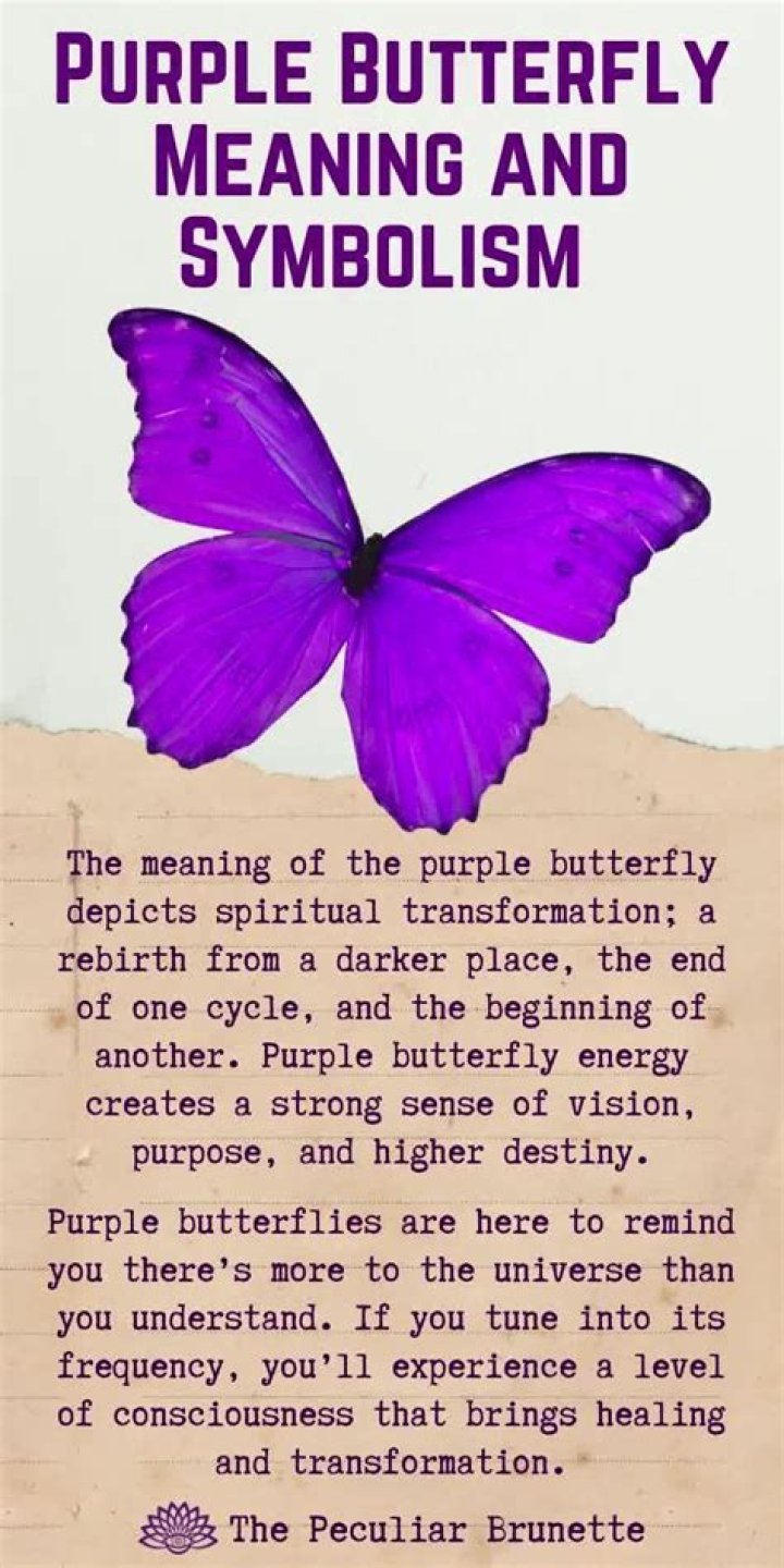 What does a purple lily symbolize?