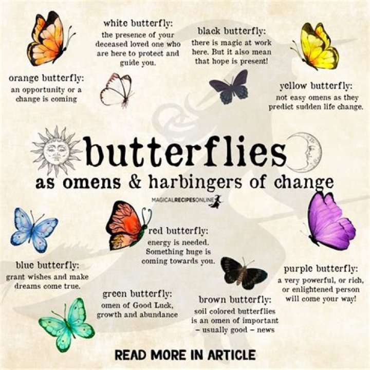 What does a sword through a butterfly mean?