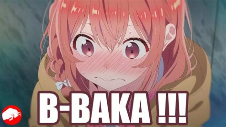 What does baka da yo mean?