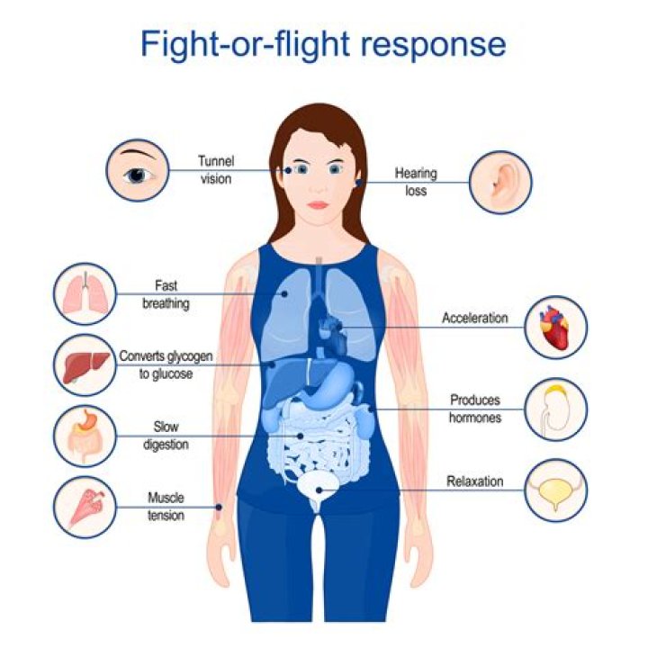 What does Blue 1 Do to your body?