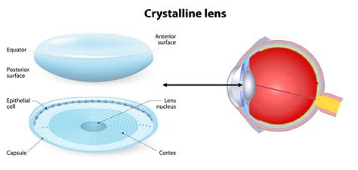 What does crystal lens do in Deepwoken?